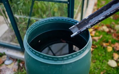 Harnessing Nature’s Gift: The Multifaceted Uses of Rain Barrel Water