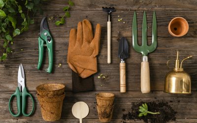 The Gardener’s World: A Diverse Array of Tools for Cultivating the Earth